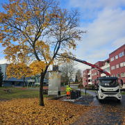 Unngå lukt og skadedyr gjennom rengjøring av søppelrom og søppelbøtter